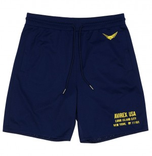 Avirex Aviator Mesh Short Kurze Hose Herren Blau | 942107-RTX