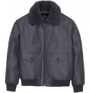 Avirex G-1 Bomber Jacket Leather Herren Grau | 196702-DSA