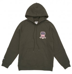 Avirex Icon Hoodie Hoodie Herren Olivgrün | 657183-WHB