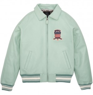 Avirex Icon Jacket Jacken Herren Seafoam | 825971-FRO