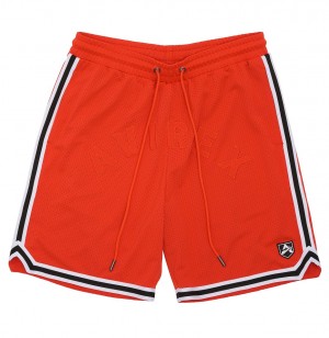 Avirex Icon Mesh Short Kurze Hose Herren Orange | 270841-BNO
