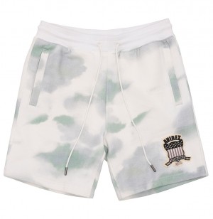 Avirex Icon Short Kurze Hose Herren Mehrfarbig | 206894-OPG