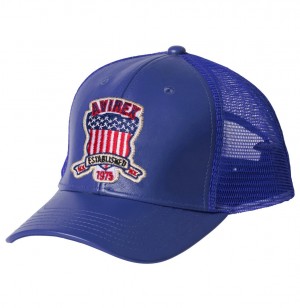 Avirex Icon Trucker Hat Hüte Herren Mehrfarbig | 048537-ONE