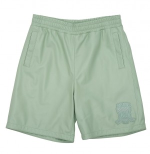 Avirex Nappa Leather Short Kurze Hose Herren Mehrfarbig | 516234-ZDT