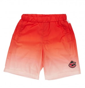 Avirex Ombre Short Kurze Hose Herren Mehrfarbig | 642085-JHL