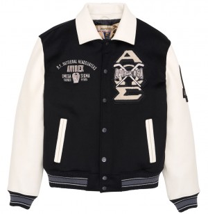 Avirex Omega Wool-leather Jacket Leather Herren Mehrfarbig | 504916-RPU
