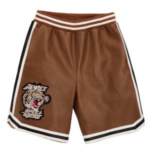 Avirex Speed Tiger Leather Short Kurze Hose Herren Mehrfarbig | 846731-KBZ