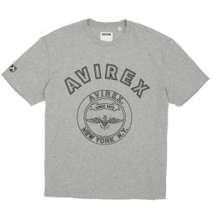 Avirex Stadium Tee Tees Herren Grau | 064879-AHW