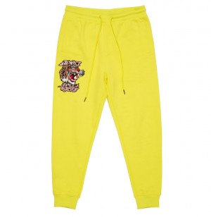 Avirex Tiger Jogger Jogginghose Herren Mehrfarbig | 438109-NYJ
